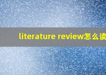 literature review怎么读